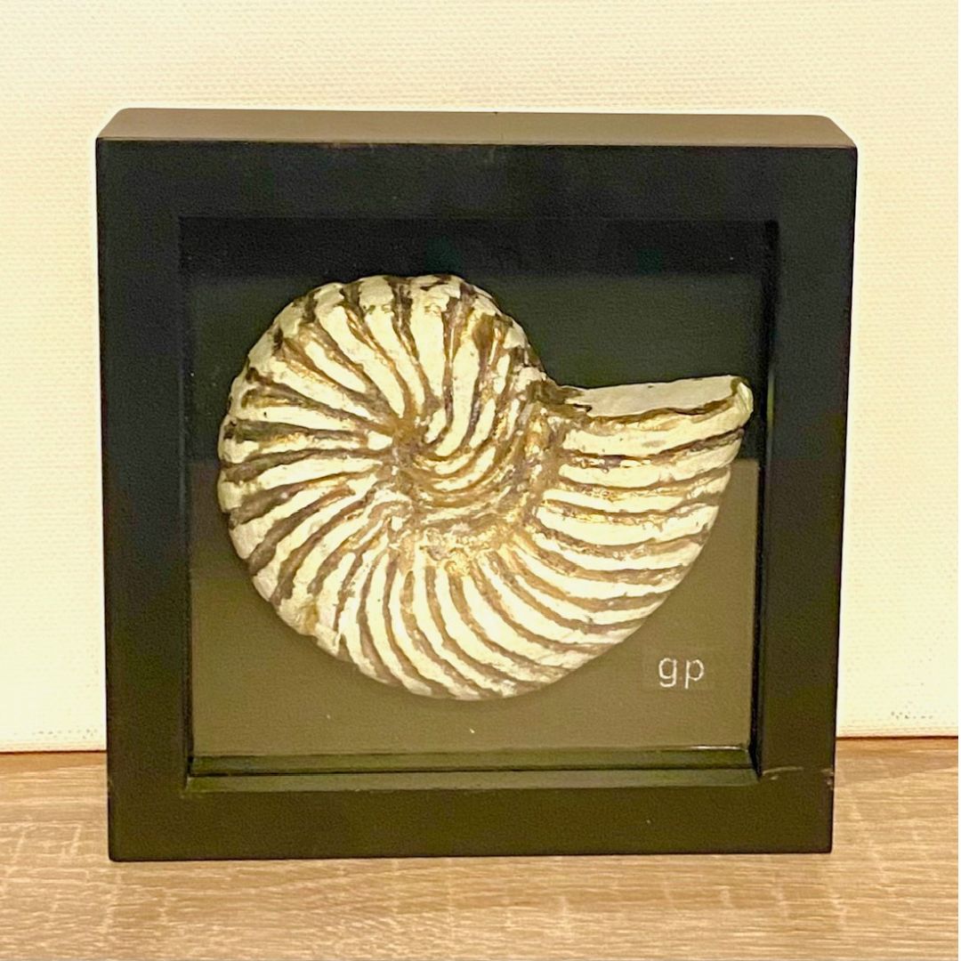 Bild "Fossiler Ammonit"